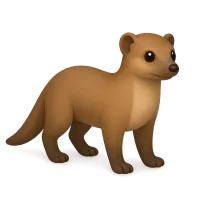 Mongoose