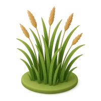 Prairie Grass