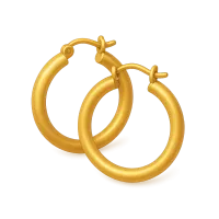 Hoop Earrings