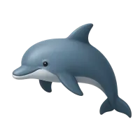 Dolphin