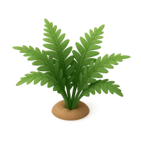 Fern