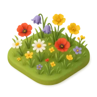 Wildflower Field