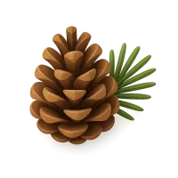 Pinecone