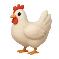 Domestic Chicken