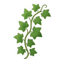 Ivy Vine