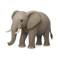 African Elephant