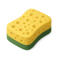 Sponge