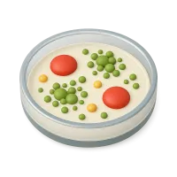 Petri Dish