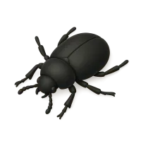 Beetle
