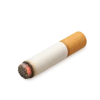 Cigarette