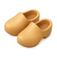 Wooden Clogs