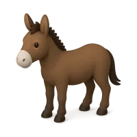 Donkey