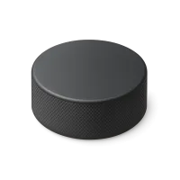 Hockey Puck