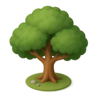 Oak Tree