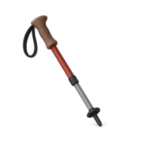 Walking Stick