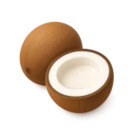 Coconut