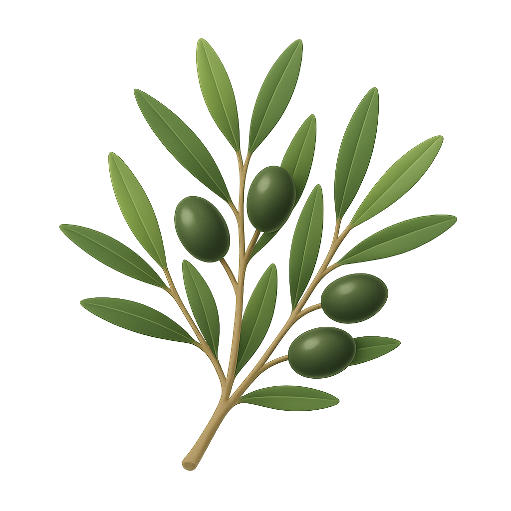 Olive Branch