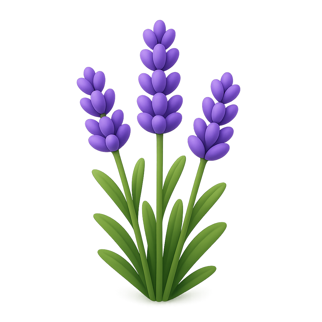 Lavender