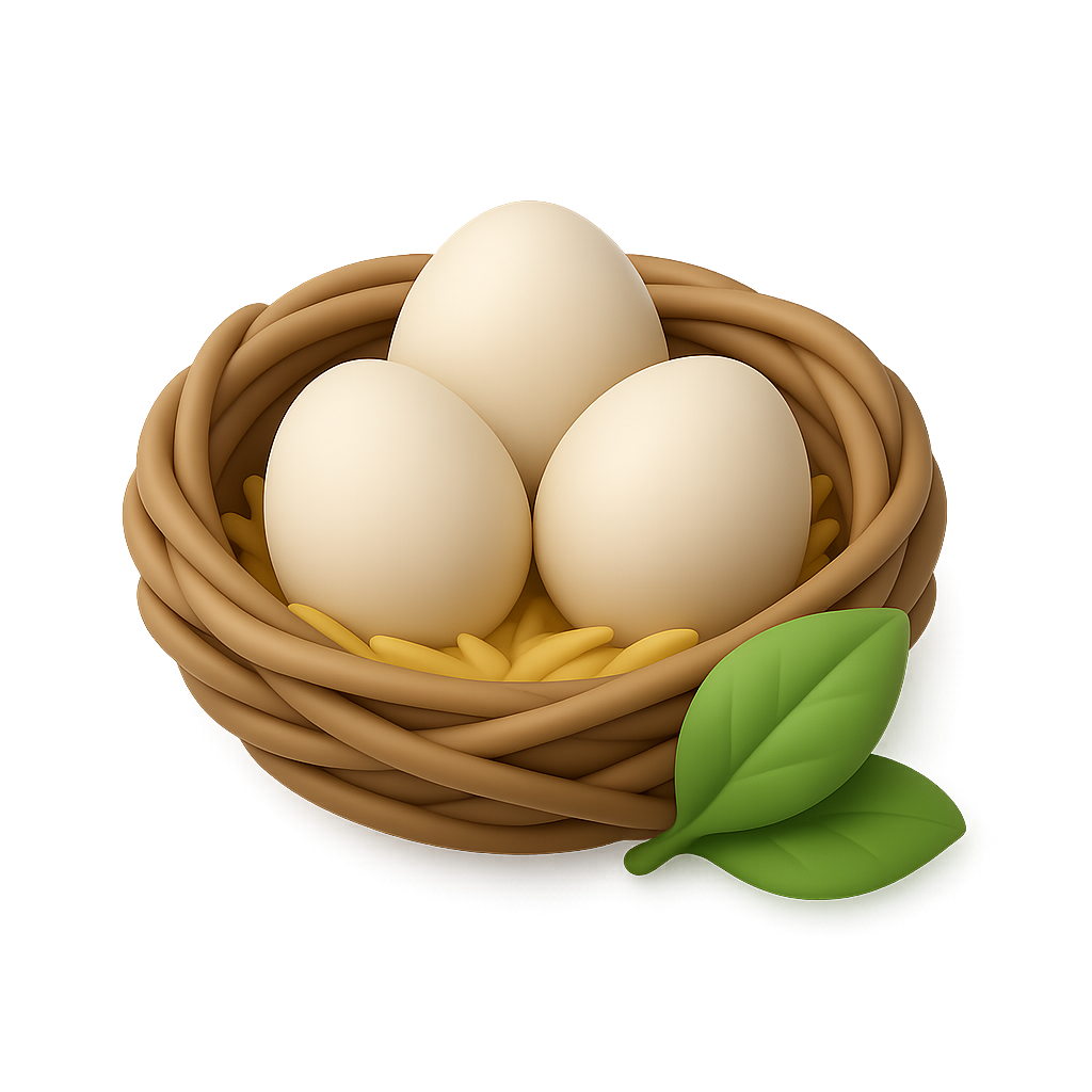Nest